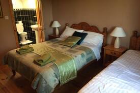 Cavan House | Drumbo Lodge B&B-Room 1