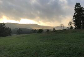 Cessnock City Council House | Silver Tree Farm