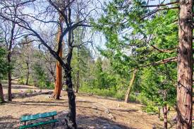 Yosemite National Park Apartment | Yosemite West Studio Condo B107