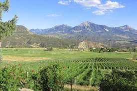 Paonia House | La Mesa Lodge~spectacular mountain views, vineyard