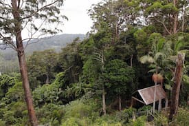 Mount Tamborine House | Newly Renovated Private Eco Rainforest Cabin