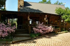 Palestine Cabin | Bird Cottage