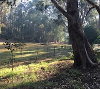 Dwellingup House | froggy Creek lodge