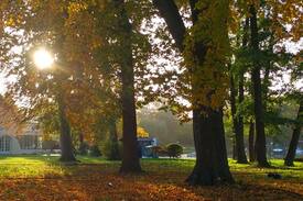 Caputh Other | Remise am See, Caputh