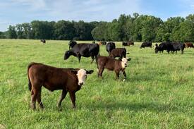 Grapevine Other | Hurricane Creek Ranch - Over 400 Acres