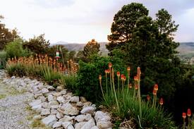 Ruidoso Downs Cabin | Mountian Top Retreat 102 Idaho Dr. Ruidoso Downs