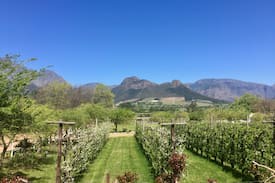 Franschhoek Cabin | Woodend Cottage with Private Garden & Pool