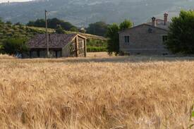 Apiro House | Casa San Leopardo - a quiet and peaceful place
