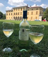 Almenno San Salvatore Villa | Villa Vitalba-1700s house and winery 1h from Milan
