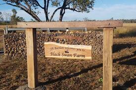 Dimbulah Cabin | Black Swan Farm Dimbulah