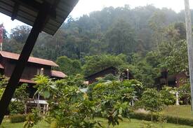 Johor House | Taman Negara Endau Rompin Selai