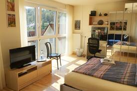 Aidlingen Apartment | Großes, einladendes Zimmer mit Morgensonne