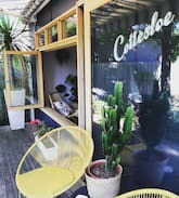 Barwon Heads Cabin | Cottesloe Beach Shack : Barwon Heads -Pet Friendly