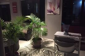 Martintar House | Your Home away from home