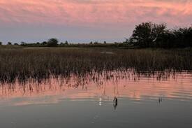 Republic County Other | Bobcat Lodge