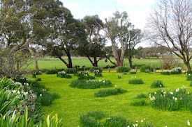 Port Fairy Cabin | Ardlie at Cherry Plum Cottages