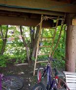 Fairbanks Other | Skylight Tree House