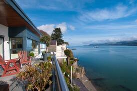 Menai Bridge House | Seagulls