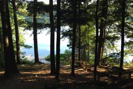 Wetmore Cabin | TOWN LAKE LODGE (15 miles from Pictured Rocks): Canoe included!