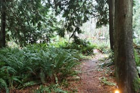 Point Roberts Cabin | Gingerbread cottage - Lily Point Park