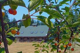 Port Angeles House | COOL WATER BARN
