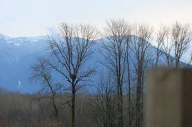 Harrison Mills Other | Eagle Nest View cabin