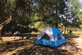 Colleton County Other | CAMPING at Natural Gathering Grounds