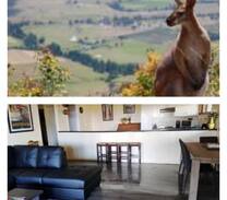 Vacy Apartment | Tuckeroo Retreat Eaglereach Resort