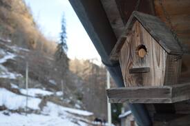 Gressoney-Saint-Jean Bed & Breakfast | Bed and breakfast "La Torre di Adele"