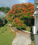 The Lime Apartment | Rolanda's Waterside & Sunset Apt 1 Ground floor.