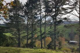 Brookby Other | Auckland Farmstay (Whitford)