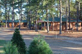 Fairhope Cabin | The Cabins At Fish River Trees - Cabin C