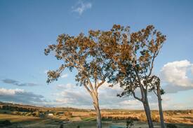 Maitland Vale Other | Dusk- A stunning Hunter Valley cottage with a view
