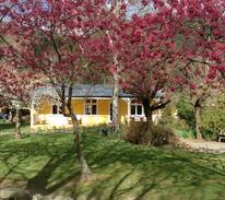 Waihopai Valley Cabin | The Original Netherwood Farm Cottage