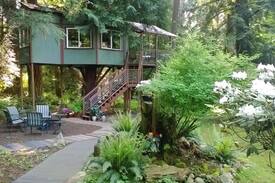Freeland Other | Tree House on Whidbey Island, WA