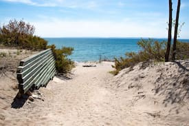 Tiny Cabin | Georgian Bay Beach Club