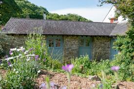 Amroth Cabin | Dandelion Cottage, Amroth, Pembrokeshire