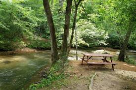Blue Ridge Cabin | Trout Stream Dream by Easy Escapes