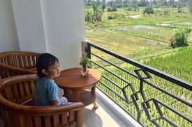 Kedewatan House | Puri Taksu, free wifi, kitchen, ricefield view