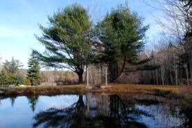 Southwest Harbor House | Rose Cottage in Acadia, 5 minute walk into town