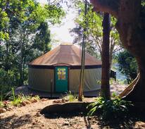 Clunes Other | Byron Hinterland yurt