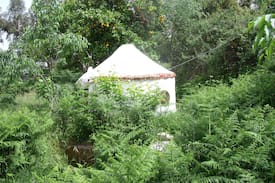 Monsanto Other | Yurt 'Glamping' at the 'Fonte' Devesa.Monsanto