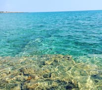 Lido Silvana Villa | Villa singola sul mare IBISCUS- Marina di Pulsano