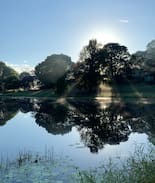 Maleny Cabin | Balfour Cottage on the Lake