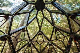 Felton Other | The Pinecone Treehouse