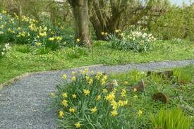Scalloway Bed & Breakfast | Castle Gardens, Scalloway, Shetland ZE1 0TP