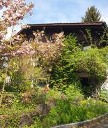 Wildhaus House | Chalet Müsli: Haus für 8P am Fusse des Schafbergs