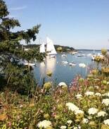 Port Clyde Cabin | Coastline View