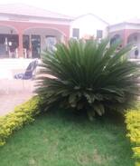 Bobo Dioulasso Bed & Breakfast | Residence hôtelière tanoudja