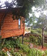 Niebla Cabin | CABAÑAS ALTO BELLAVISTA NIEBLA - COLIBRI